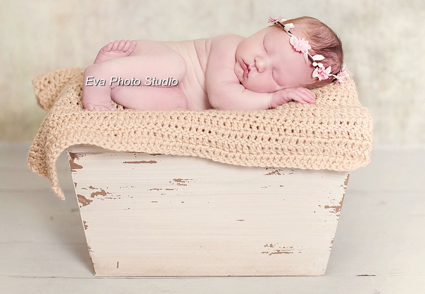 Tampa Newborn Photographer 8 Day Old Baby Girl Newborn Session In