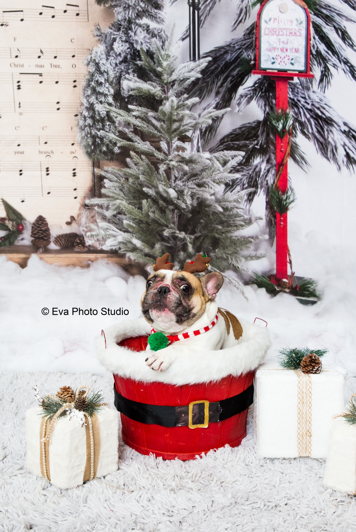 Christmas photo session in studio | Family photo session